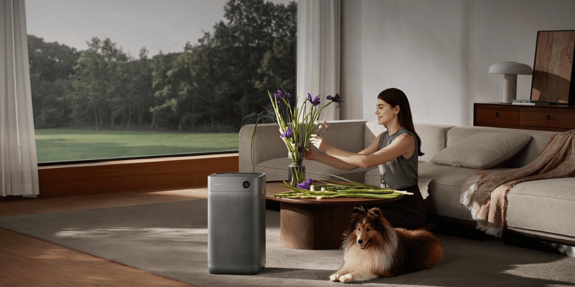 Air Purifier 3